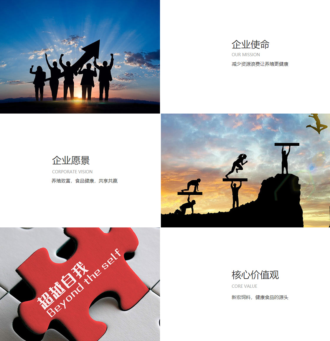 OB欧宝·体育中国官方网站(图1)
